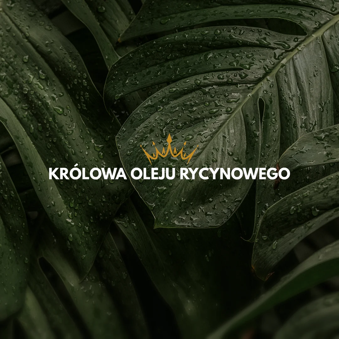 obraz_2025-10-26_150811976 królowa oleju rycynowego